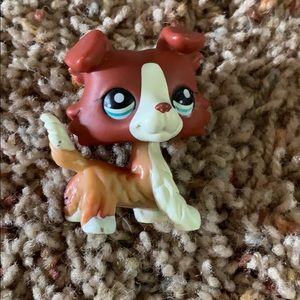 lps collie